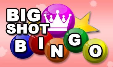 Big Shot Bingo截图1