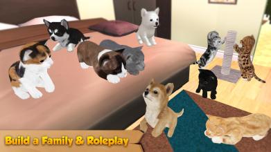 Cat & Dog Online: Pet Animals截图3