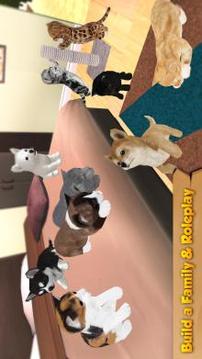 Cat & Dog Online: Pet Animals截图