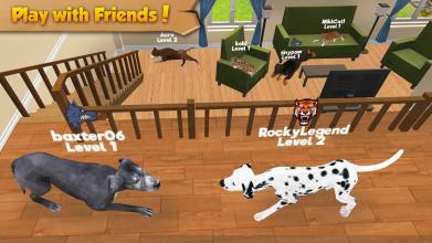 Cat & Dog Online: Pet Animals截图5