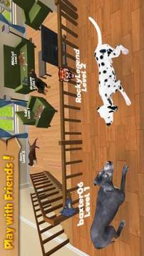 Cat & Dog Online: Pet Animals截图