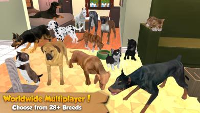 Cat & Dog Online: Pet Animals截图1