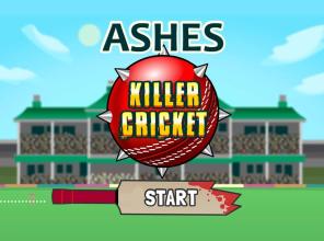 Ashes Killer Cricket截图2
