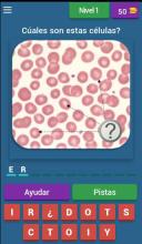 Quiz de Hematología截图1