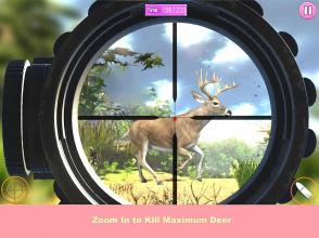 Animal Hunting Simulator: Jungle Deer Hunter Game截图2