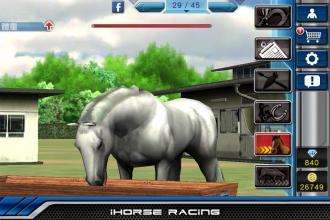 iHorse Racing ENG: free horse racing game截图1