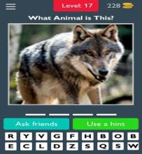 Animals Quiz Guess the Animals截图1