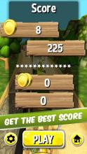 Crash Run: Lost Temple Jungle Dash截图4