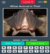 Animals Quiz Guess the Animals截图5