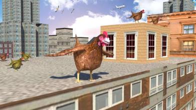 Crazy Chicken Run Adventure截图5