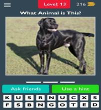 Animals Quiz Guess the Animals截图3