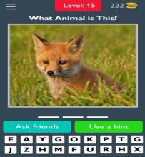 Animals Quiz Guess the Animals截图2