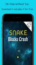 Snake vs Blocks Crash截图2