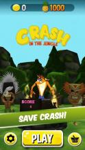 Crash Run: Lost Temple Jungle Dash截图3