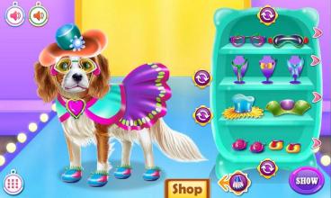 World Puppy Fashion Tour截图3