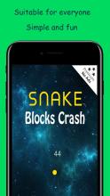 Snake vs Blocks Crash截图3