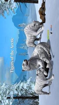 Tigers of the Arctic截图