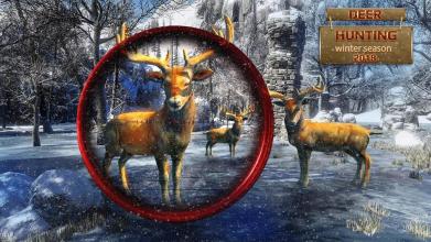 Animal Jungle Safari - Deer Hunting Game 2017截图3