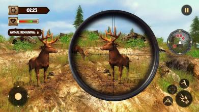 Animal Jungle Safari - Deer Hunting Game 2017截图4