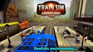 Train Sim Driver 2018 2 Player截图2