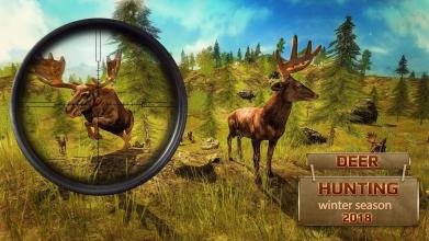 Animal Jungle Safari - Deer Hunting Game 2017截图2