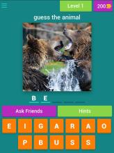 guess the animal : for kids截图5