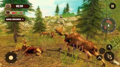 Animal Jungle Safari - Deer Hunting Game 2017截图1