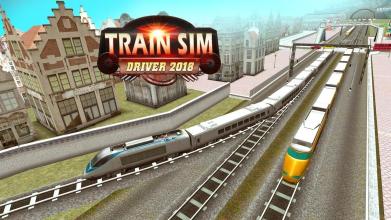 Train Sim Driver 2018 2 Player截图1