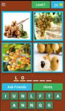 What Is That Fruit?截图1