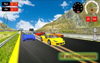 Turbo Car Rally Racing 3D截图2