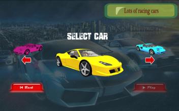 Turbo Car Rally Racing 3D截图1