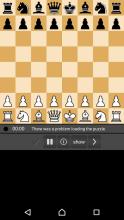 Chess Pro截图4