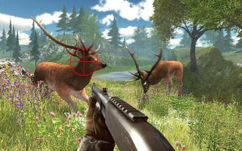 Deer Hunting Game 2017: Sniper Safari Hunter 3D截图1