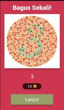 Color Blind Test截图2