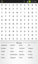 Find Words : Search for hidden words截图5