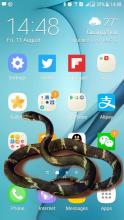 Snake Screen Prank截图2