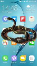 Snake Screen Prank截图1