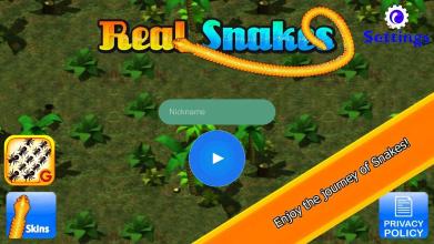 Real Snakes截图1