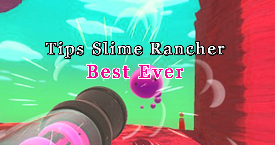 Pro Slime Rancher Best Tips截图1