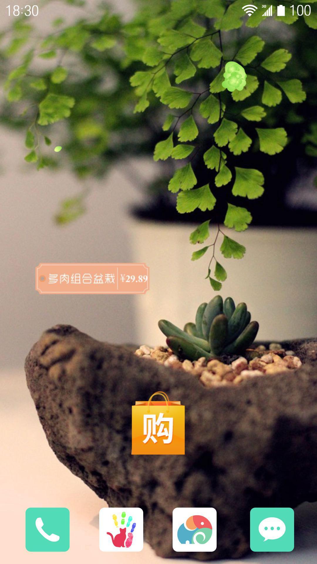 可爱多肉植物截图2