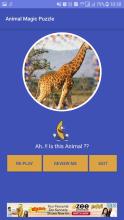 Animal Magic Puzzle截图4