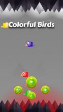 Colorful Birds截图1