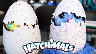 Hatchimals Twins截图1