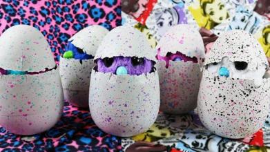 Hatchimals Twins截图3