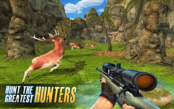 Deer Hunt Safari Sniper Animals Hunter截图3