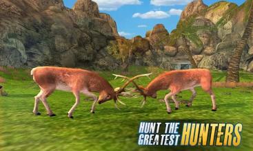 Deer Hunt Safari Sniper Animals Hunter截图4