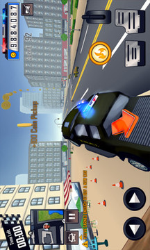 Police Crime City: New York 3D截图