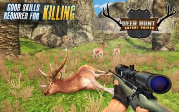 Deer Hunt Safari Sniper Animals Hunter截图2