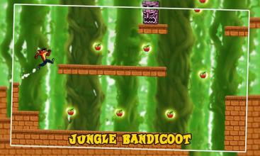 Bandicoot Adventure Jungle World截图2