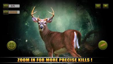 Animal Sniper Shooting Game - Jungle Hunter 2018截图1